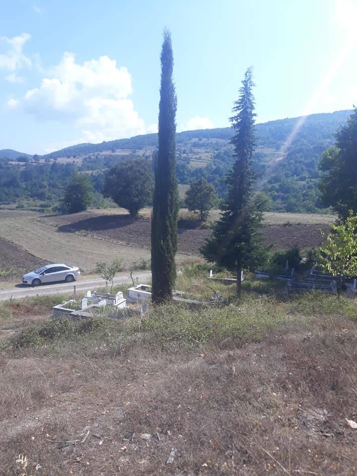 Dikmen Çanakçı Köyü Resimleri 9