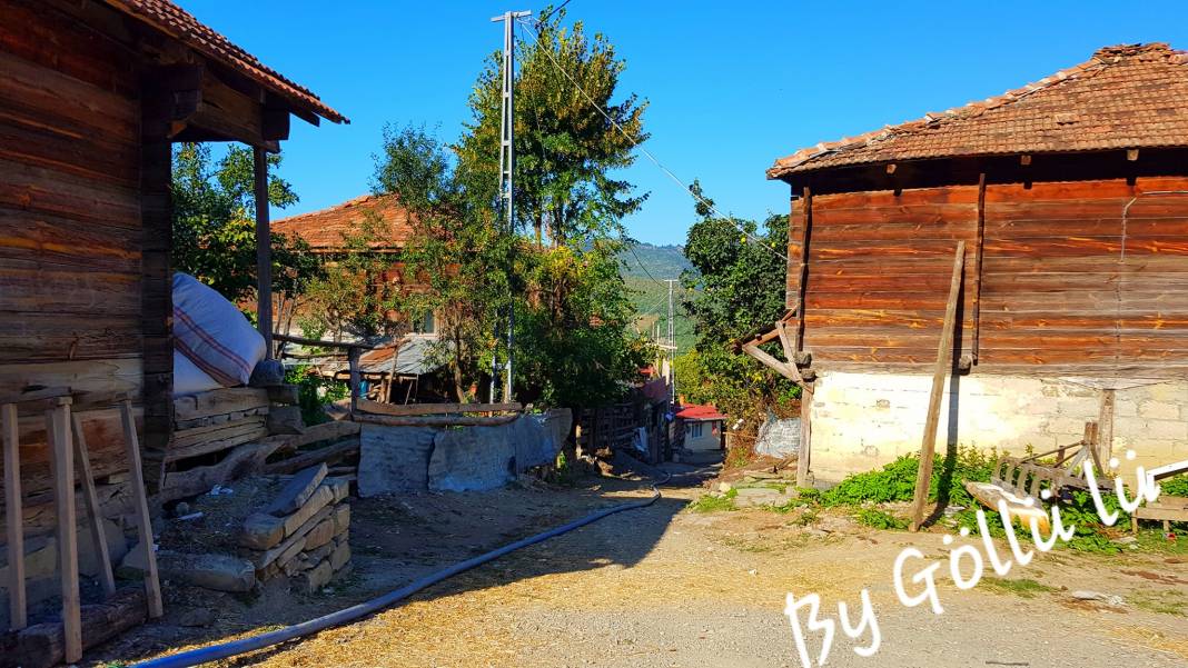 Dikmen Çevikli Köyü Resimleri 10