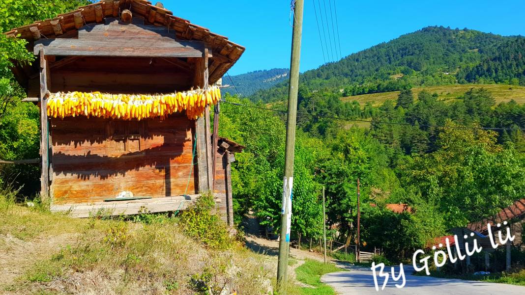 Dikmen Çevikli Köyü Resimleri 4