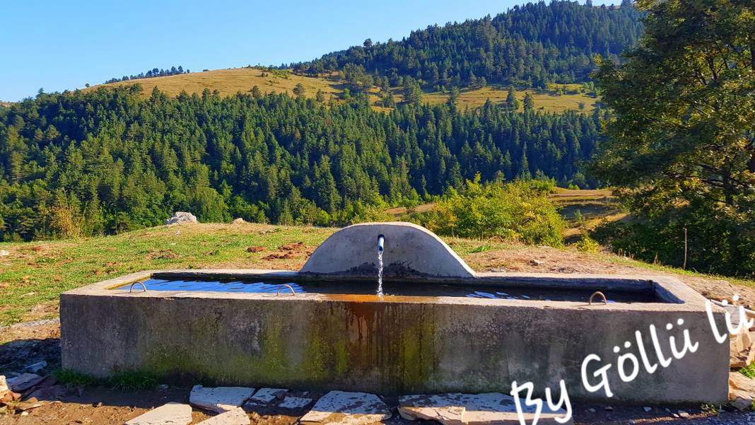 Dikmen Çevikli Köyü Resimleri 6