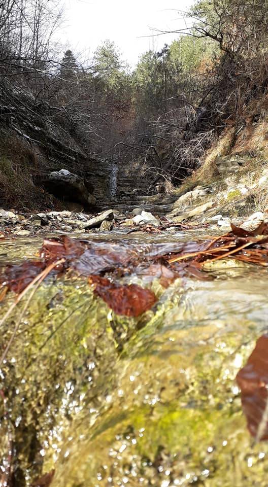 Dikmen Dağköy Köyü Resimleri 5