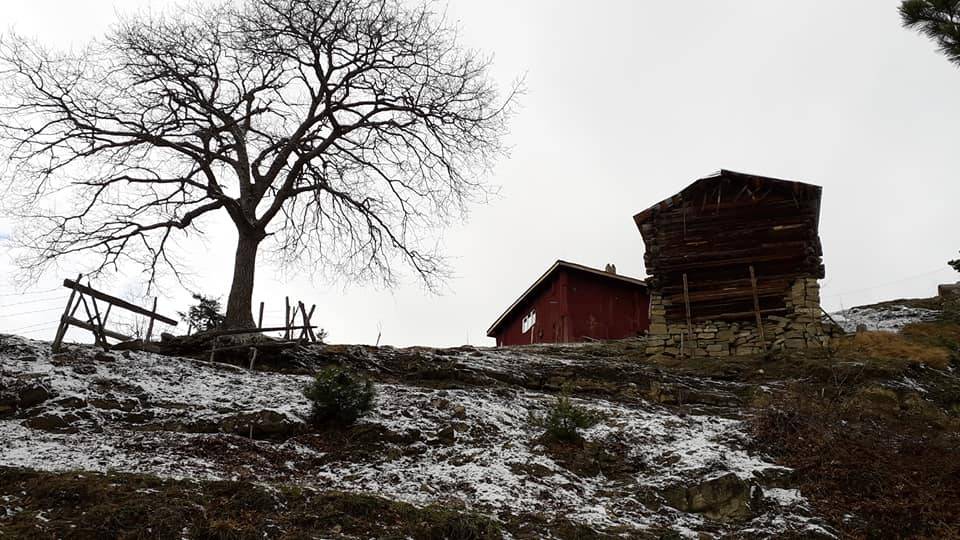 Dikmen Dağköy Köyü Resimleri 8
