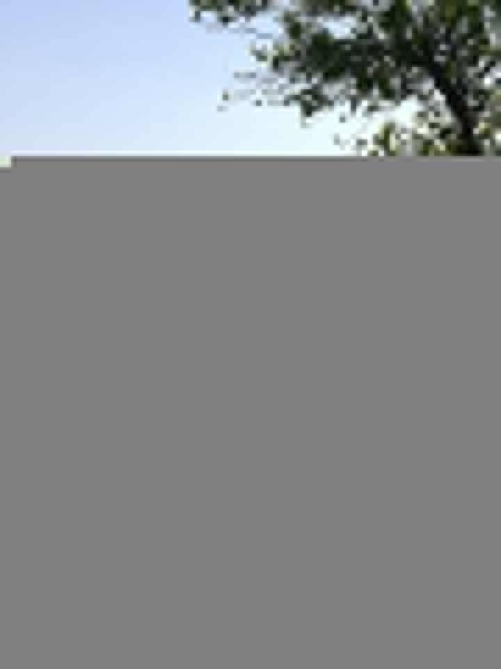 Dikmen Dumanlı Köyü Resimleri 3