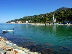 Çayeli Yenitepe Köyü Resimleri 2