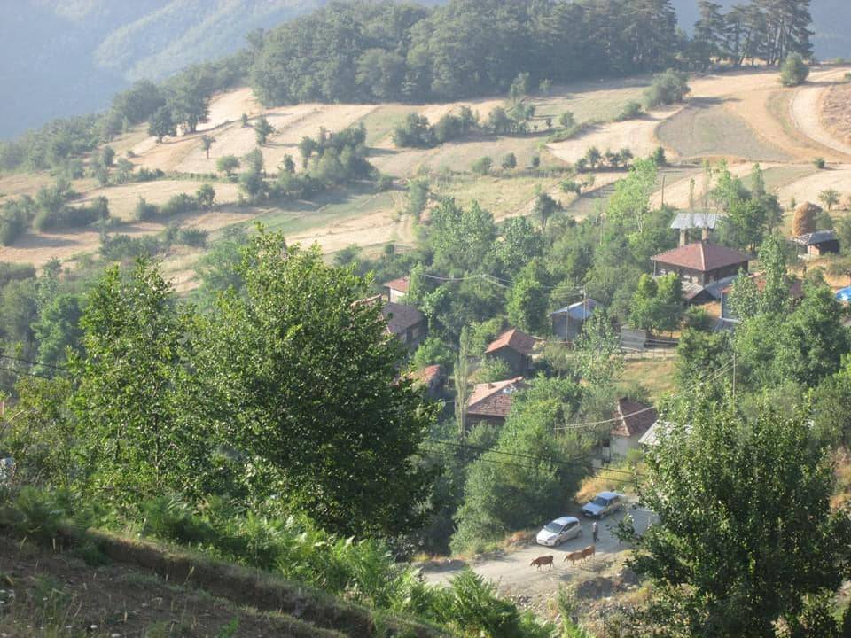 Dikmen Küçükkızık Köyü Resimleri 6