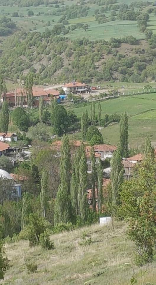 Çorum Feruz Köyü Resimleri 3