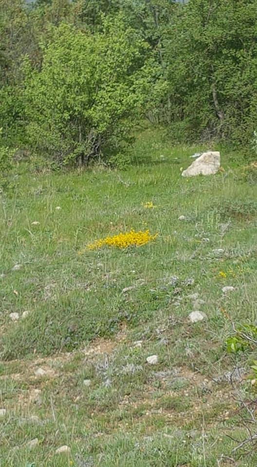 Çorum Feruz Köyü Resimleri 6