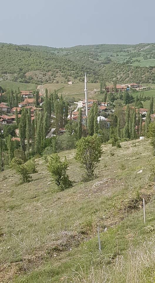 Çorum Feruz Köyü Resimleri 7