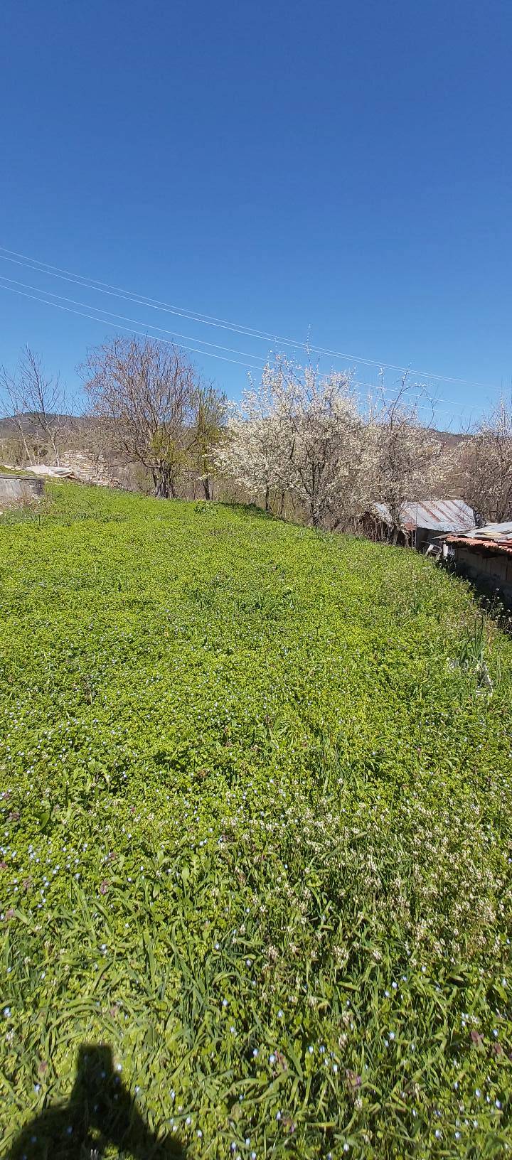 Dikmen Saray Köyü Resimleri 1