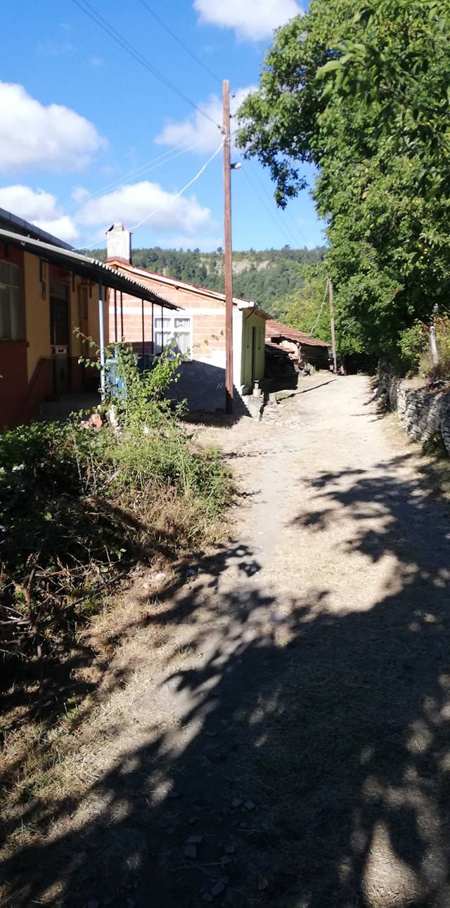 Dikmen Saray Köyü Resimleri 11