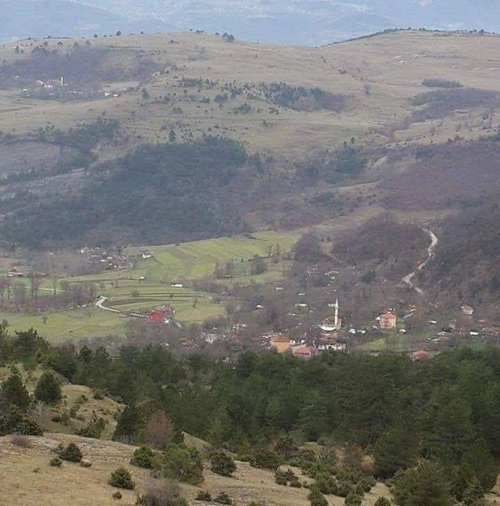 Dikmen Saray Köyü Resimleri 14