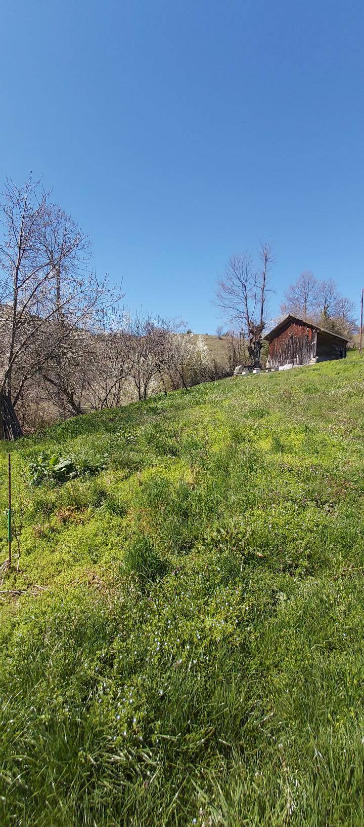 Dikmen Saray Köyü Resimleri 2