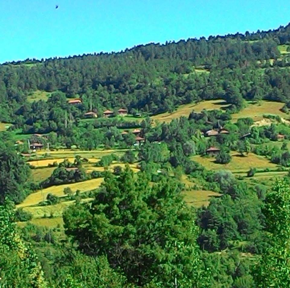 Dikmen Şeyhhüseyin Köyü Resimleri 3