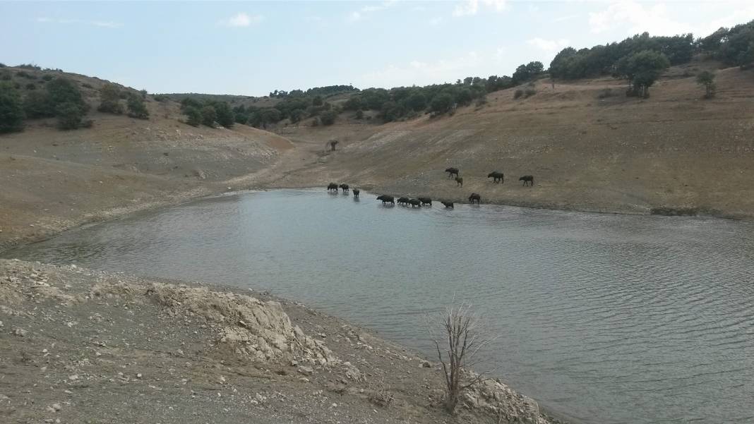 Çorum Göcenovacığı Köyü Resimleri 2