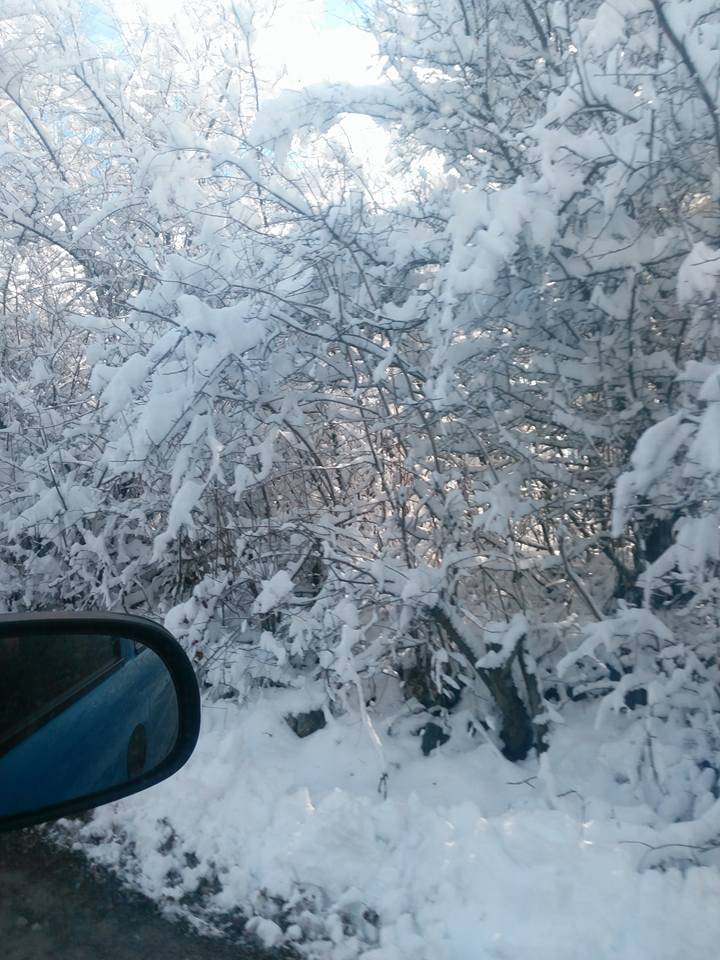 Çorum Göcenovacığı Köyü Resimleri 7