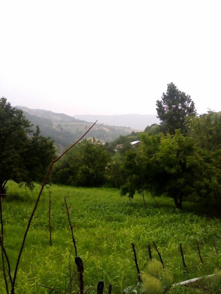 Dikmen Yukarıçekmez Köyü Resimleri 1