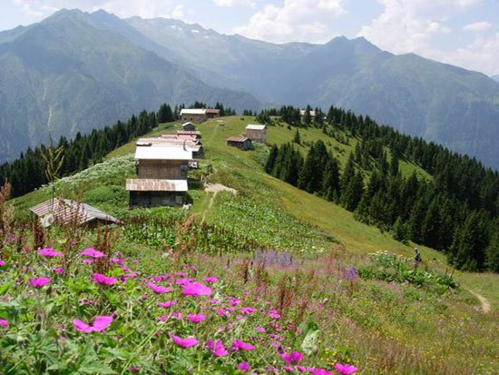 Çayeli Yeşilköy Köyü  Resimleri 10