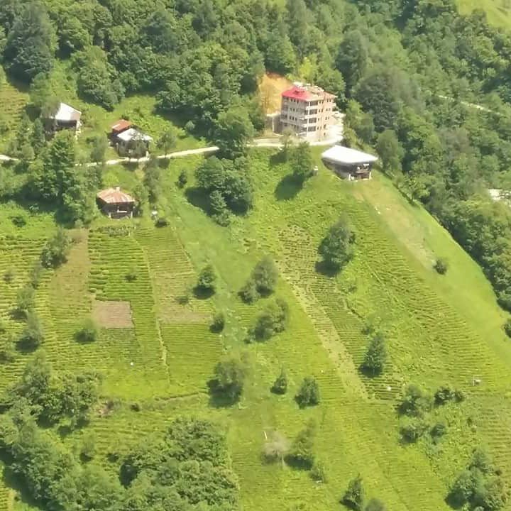 Çayeli Yeşilköy Köyü  Resimleri 11