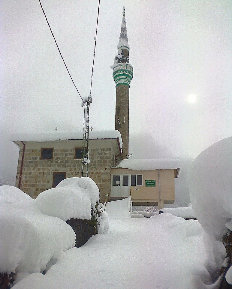 Çayeli Yeşilköy Köyü  Resimleri 3