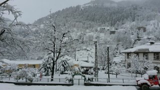 Çayeli Yeşilköy Köyü  Resimleri 4