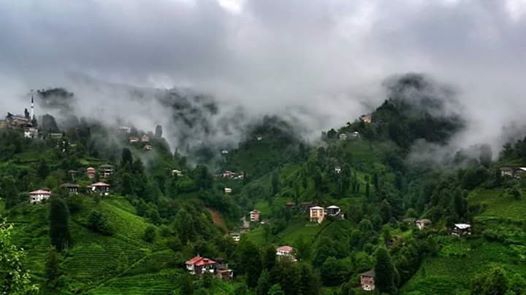 Çayeli Yeşilköy Köyü  Resimleri 5
