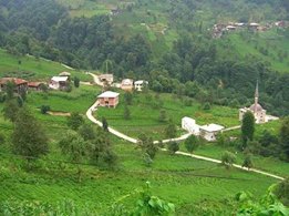 Çayeli Yeşilköy Köyü  Resimleri 6