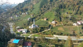 Çayeli Yeşilköy Köyü  Resimleri 9