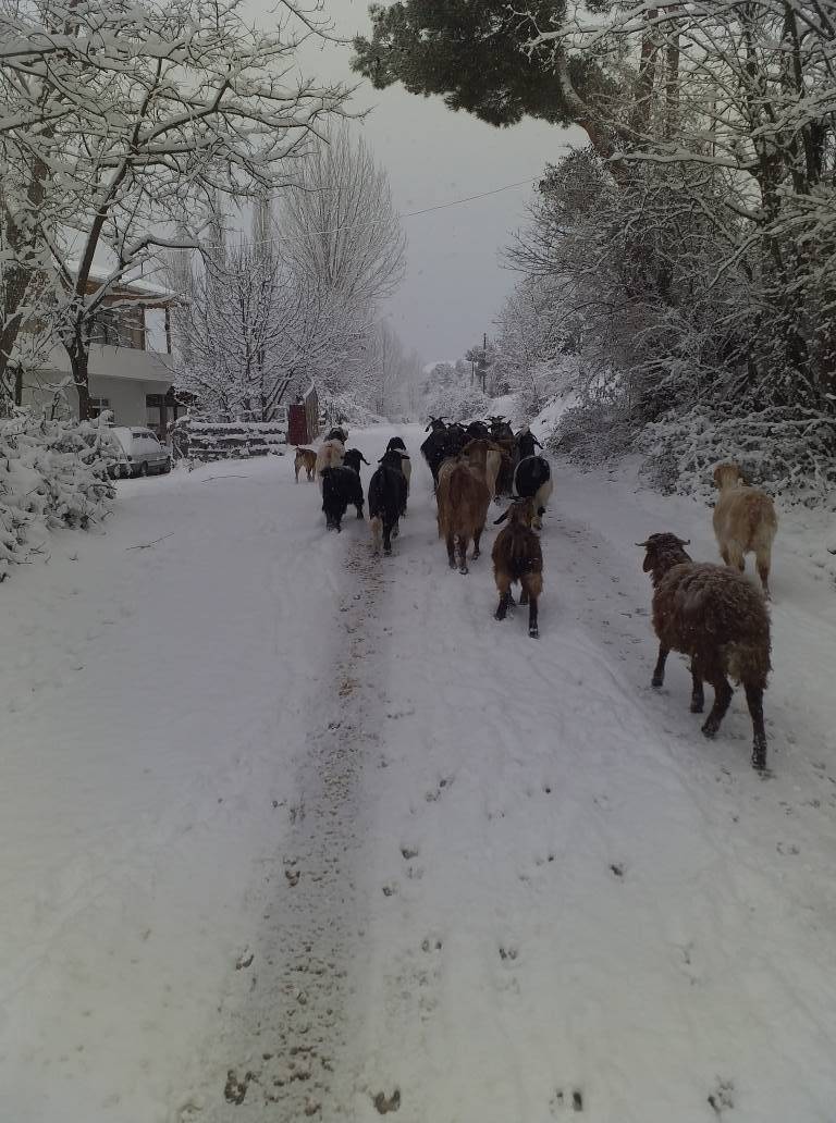 Durağan Akbel Köyü Resimleri 2