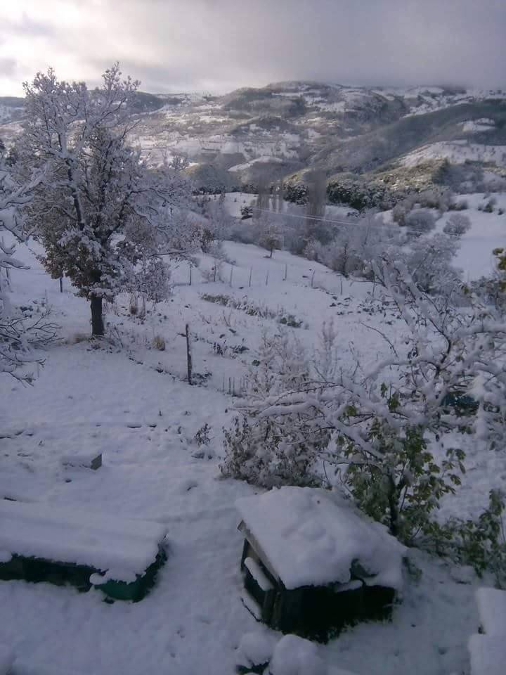 Durağan Akçaalan Köyü Resimleri 1