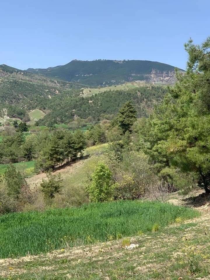 Durağan Akçaalan Köyü Resimleri 3