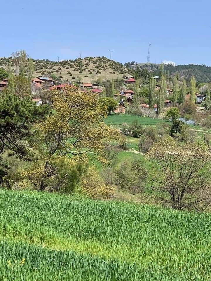 Durağan Akçaalan Köyü Resimleri 4