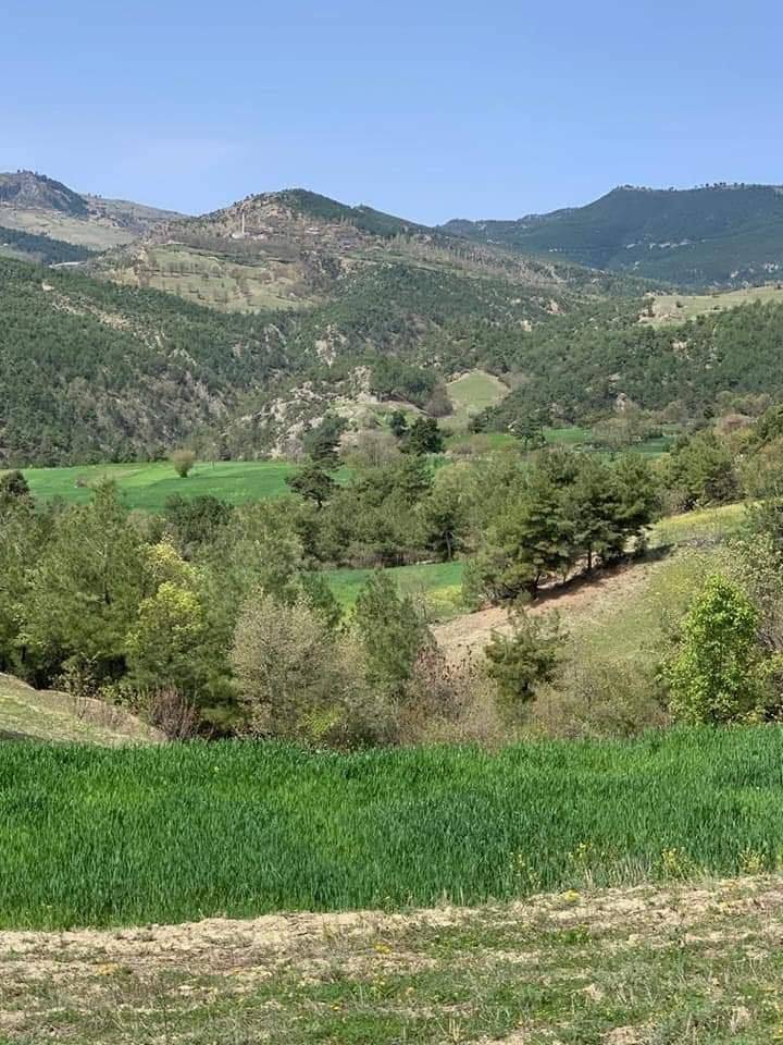 Durağan Akçaalan Köyü Resimleri 5