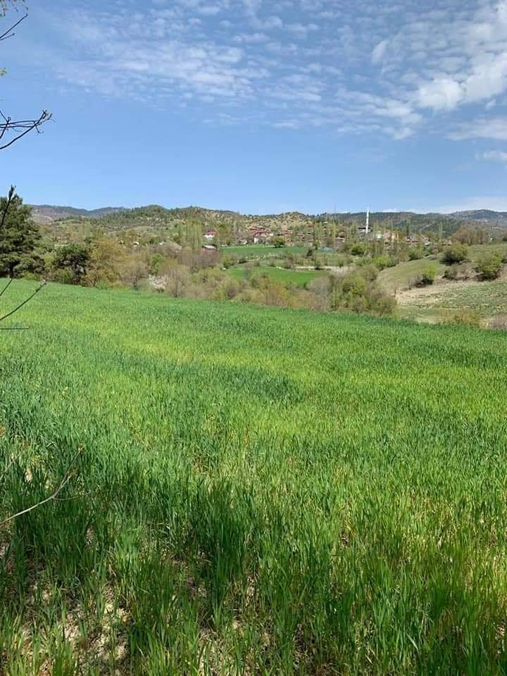 Durağan Akçaalan Köyü Resimleri 6