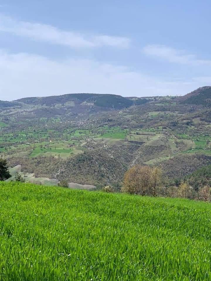 Durağan Akçaalan Köyü Resimleri 7