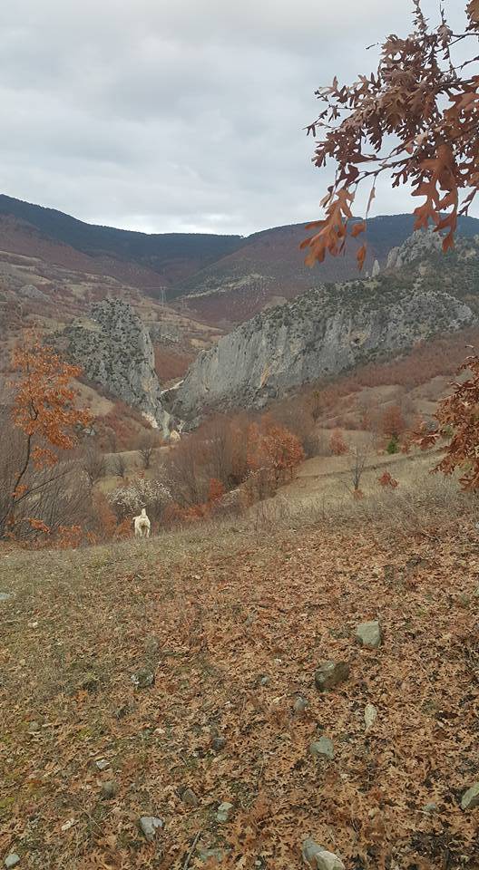 Durağan Akpınar Köyü Resimleri 10