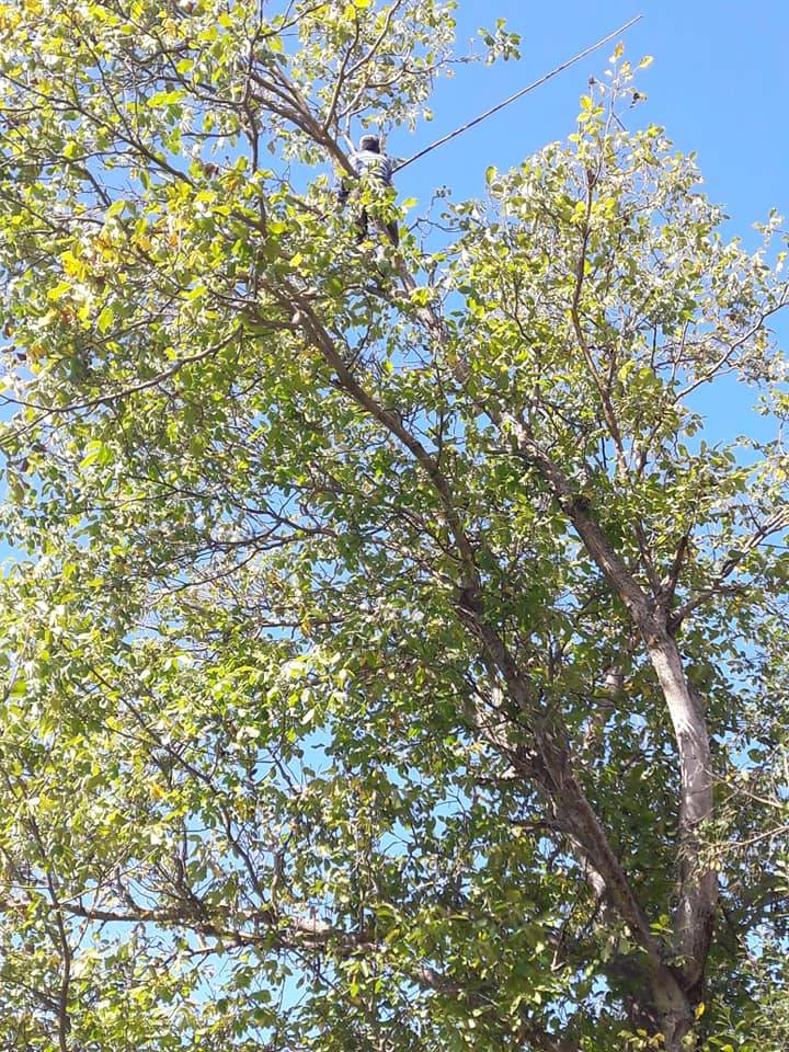 Durağan Akpınar Köyü Resimleri 15