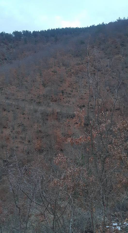 Durağan Akpınar Köyü Resimleri 3