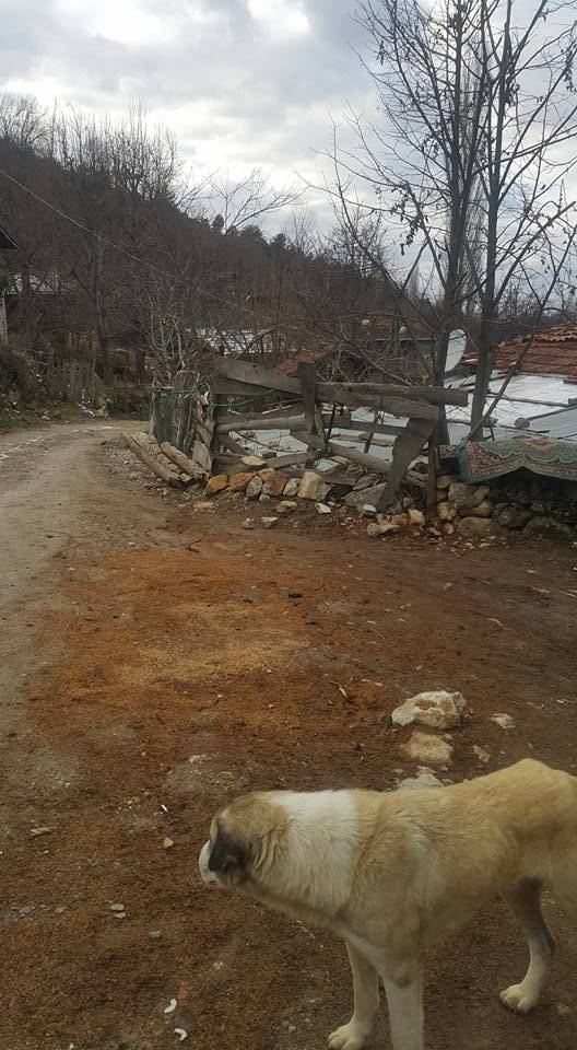 Durağan Akpınar Köyü Resimleri 5