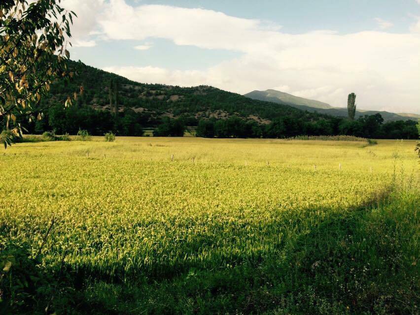 Durağan Alpaşalı Köyü Resimleri 2