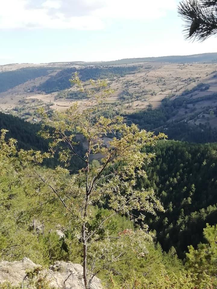 Durağan Alpuğan Köyü Resimleri 10