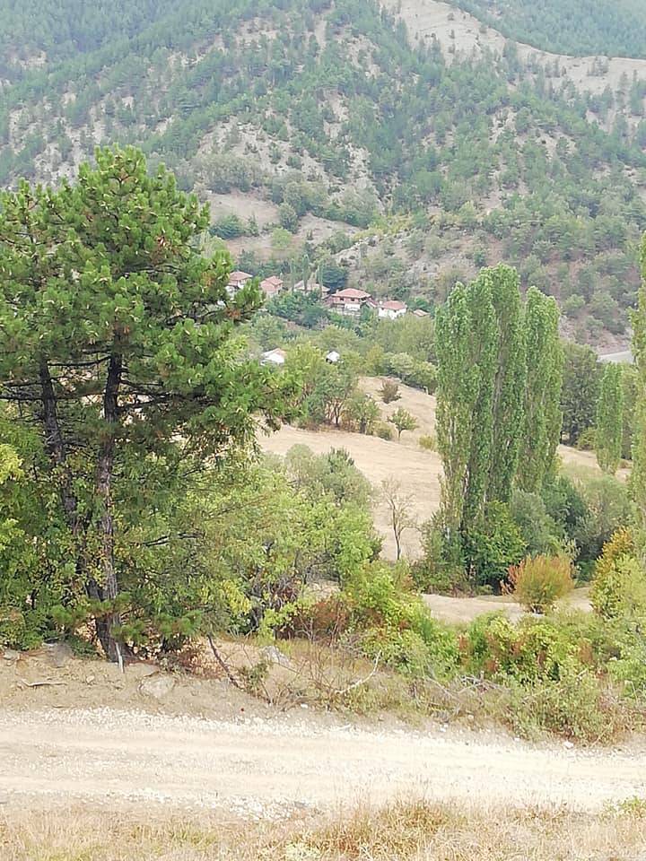 Durağan Alpuğan Köyü Resimleri 2