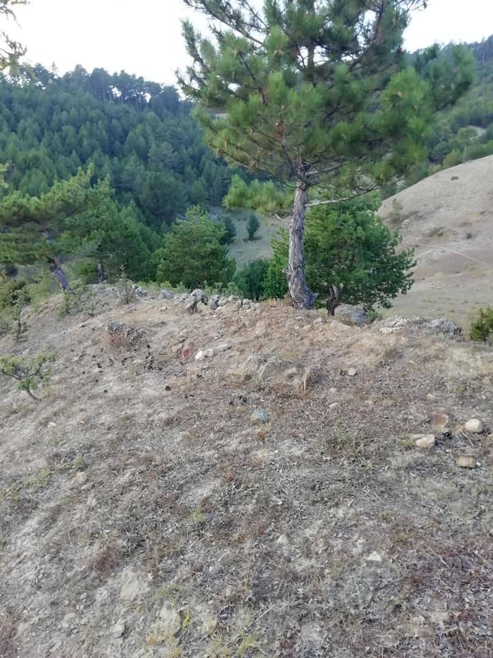 Durağan Alpuğan Köyü Resimleri 5