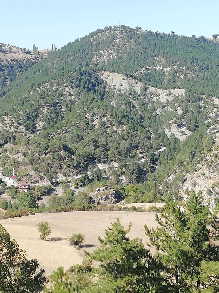 Durağan Alpuğan Köyü Resimleri 6