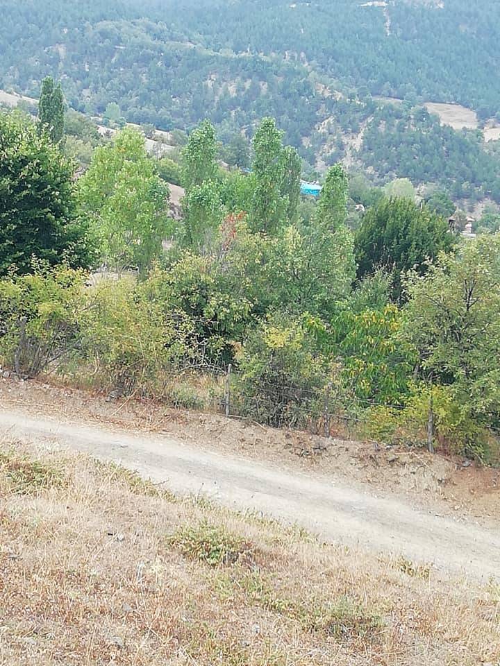 Durağan Alpuğan Köyü Resimleri 7