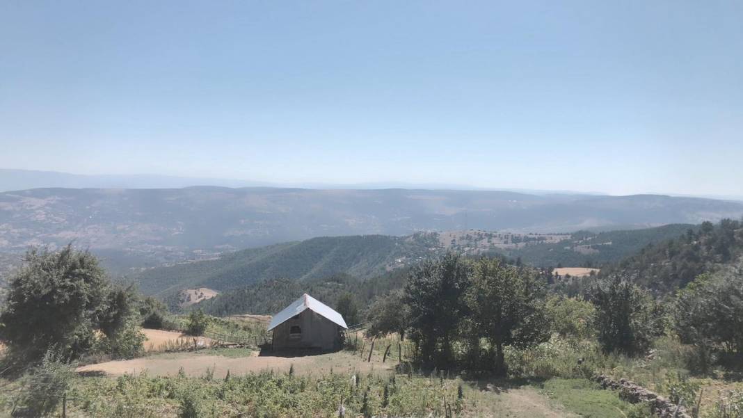 Durağan Ayvacık Köyü Resimleri 8