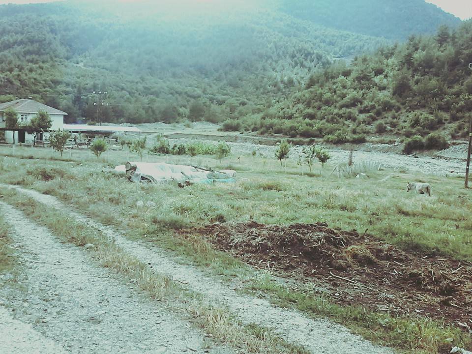 Durağan Başağaç Köyü Resimleri 1