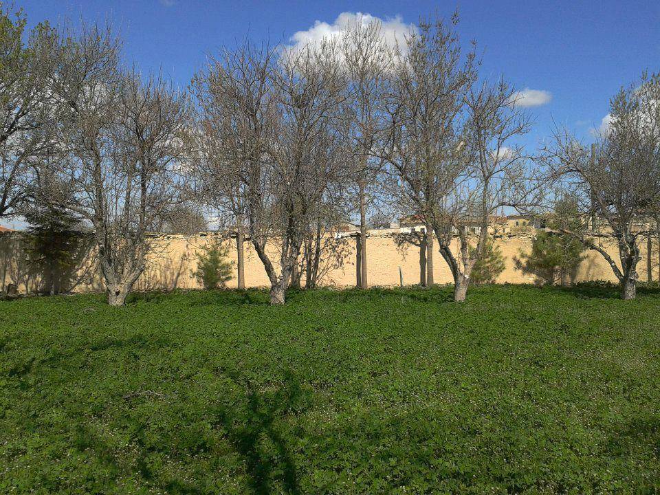 Yunak Beşışıklı Köyü Resimleri 6