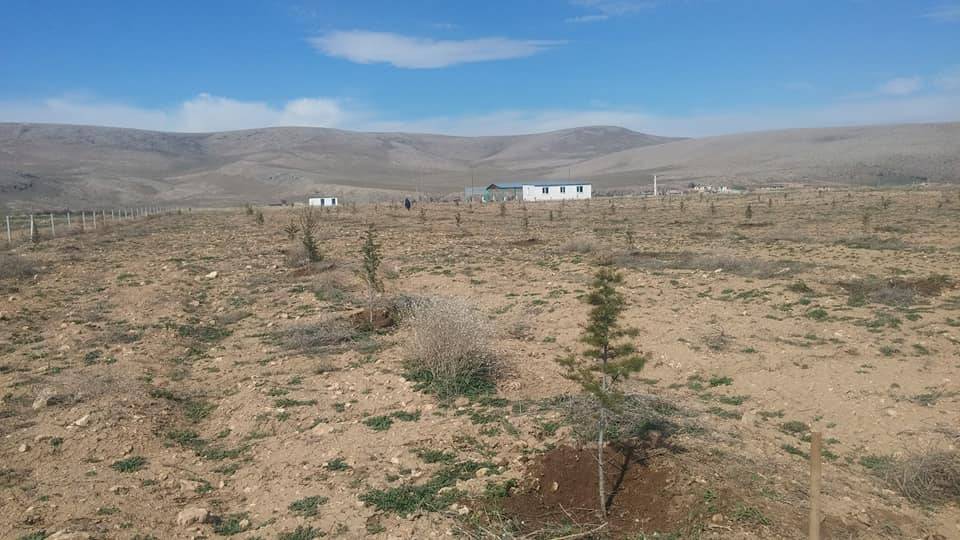 Cebrail Yunak Köyü Resimleri 2