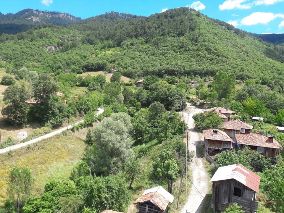 Durağan Boyalıca Köyü Resimleri 10