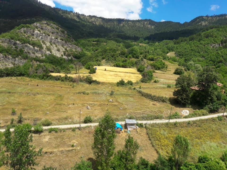 Durağan Boyalıca Köyü Resimleri 11